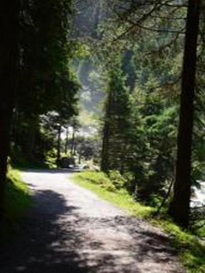 Willa Haus Bachstelze Neustift im Stubaital Zewnętrze zdjęcie